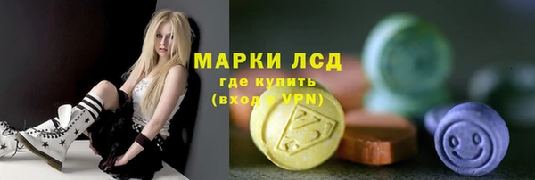 шишки Кукмор
